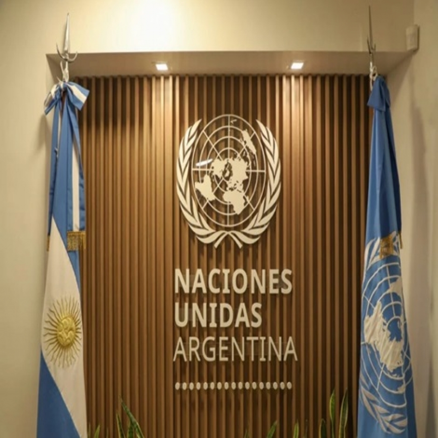 La ONU busca ingresar en el debate sobre la Ley Ómnibus Una respuesta