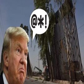 Debido a fuertes vientos en Mexicali; el muro de Trump se vino abajo