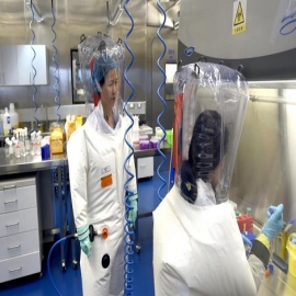 El laboratorio de Wuhan patentó jaulas de murciélagos para experimentos secretos con virus meses antes del brote