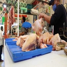 Quintana Roo: kilo de pollo fresco sube de precio