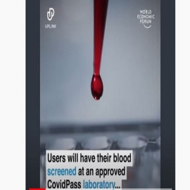 ¿Qué llevan exactamente las inoculaciones para que el Foro Económico Mundial proponga un pasaporte COVID basado en análisis de sangre?
