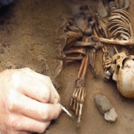 Los arqueólogos descubren restos de nuevas especies humanoides