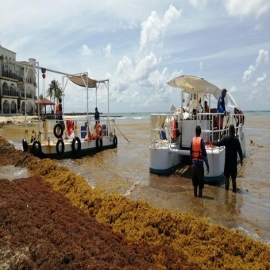 Playa del Carmen: Presentan proyecto de transformación del sargazo en diversos productos