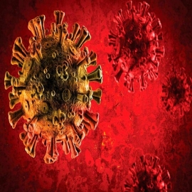 Filtran documentos del gobierno alemán con la verdad sobre el coronavirus