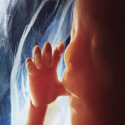 Demoníaco: Biden aumentará los experimentos con partes de bebés abortados