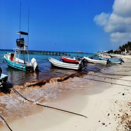 Playa del Carmen: Pescadores, listos para temporada de captura de escama menor