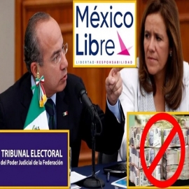 TEPJF niega financiamiento retroactivo a México Libre; todavía no es partido político