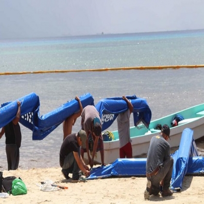 Playa del Carmen: Lanzan segunda convocatoria de licitación para recolectar sargazo