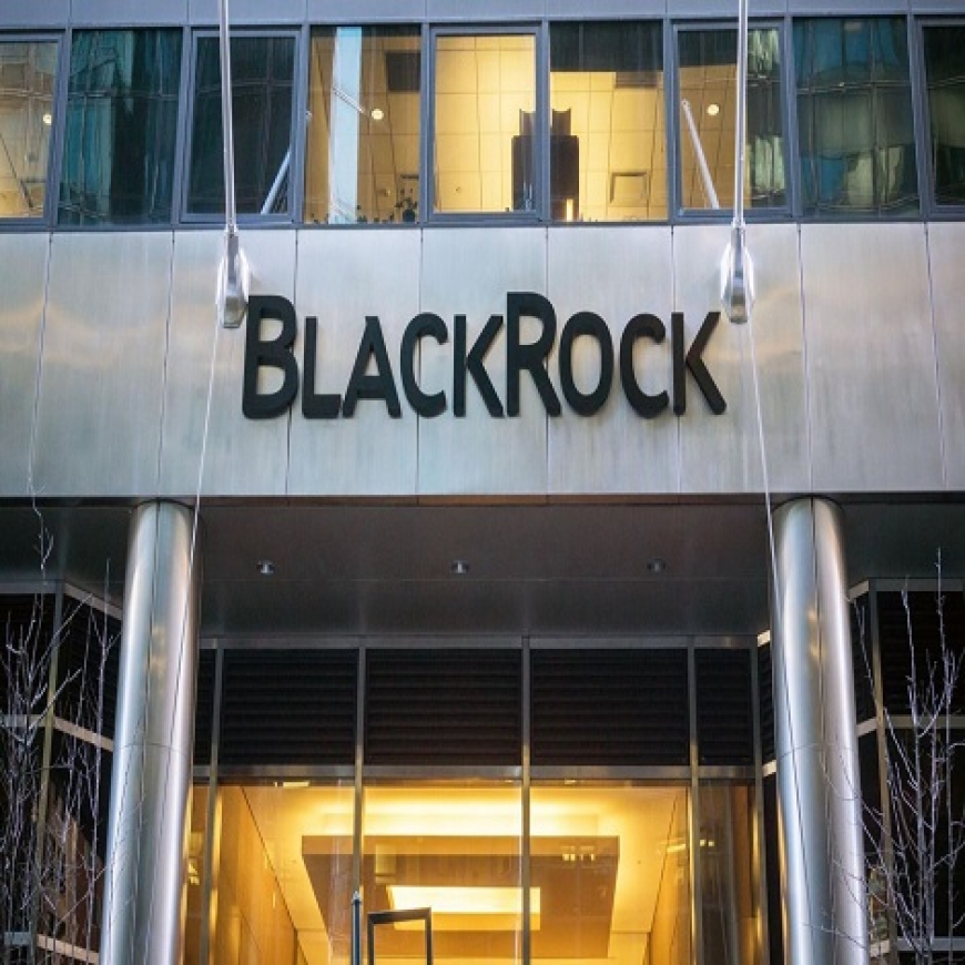 Quién Está Detrás De Blackrock Y Vanguard, Los Gigantes Bancos Que ...