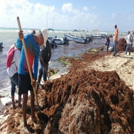 Vientos y sargazo “entierran” actividades náuticas en Playa del Carmen