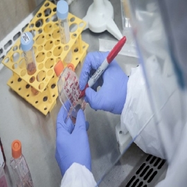 Se filtra información que revela un plan del 2018 para crear un nuevo coronavirus