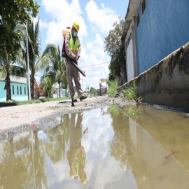 Fumigan colonias de Chetumal para acabar con mosquitos transmisores de dengue
