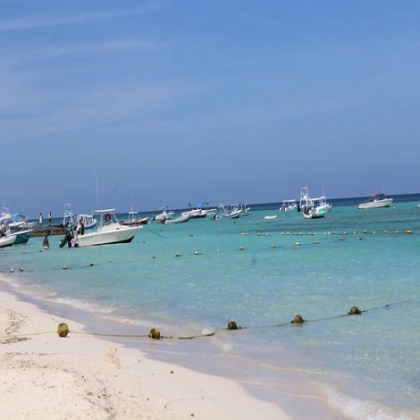 Playa del Carmen: Contrato para tener las playas libres de sargazo llega a su fin