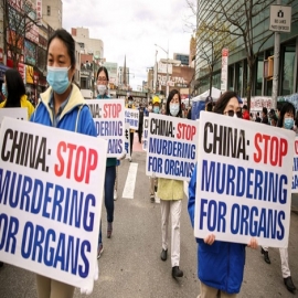 Congresista de EE. UU: debemos actuar con decisión para detener la sustracción forzada de órganos a personas vivas por el PCCh