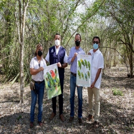 El Alcalde Renán Barrera Concha liberó ocho ejemplares de la especie Amazona albifrons (Loro Frente Blanca)